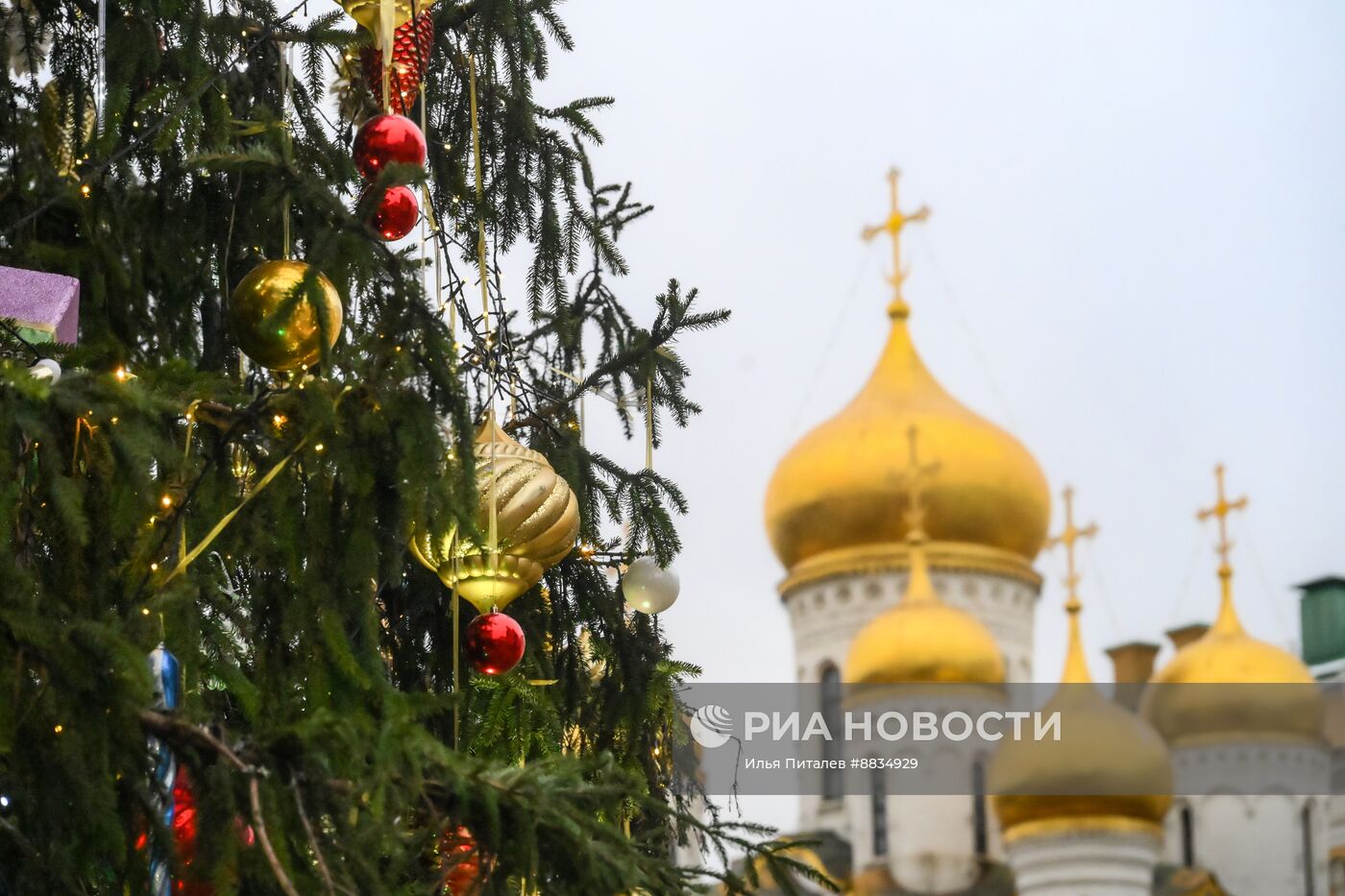 Главная новогодняя елка страны на Соборной площади Московского Кремля