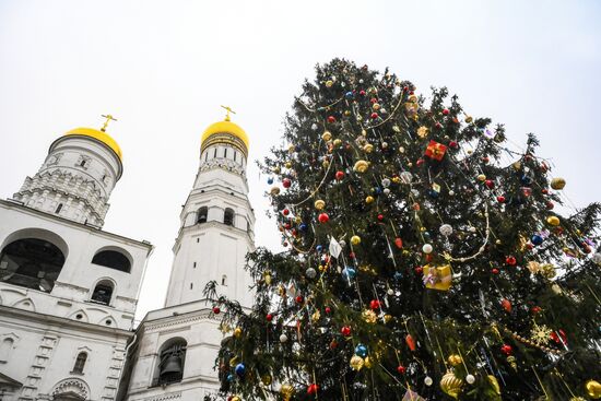 Главная новогодняя елка страны на Соборной площади Московского Кремля