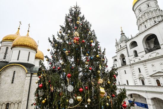 Главная новогодняя елка страны на Соборной площади Московского Кремля