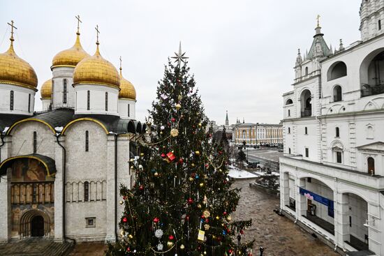 Главная новогодняя елка страны на Соборной площади Московского Кремля