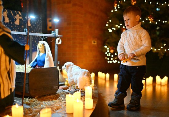 Празднование католического Рождества
