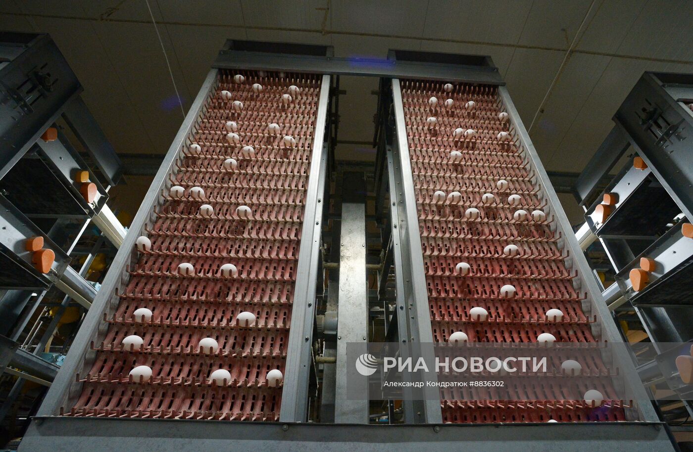 Работа предприятия "Птицефабрика Челябинская"