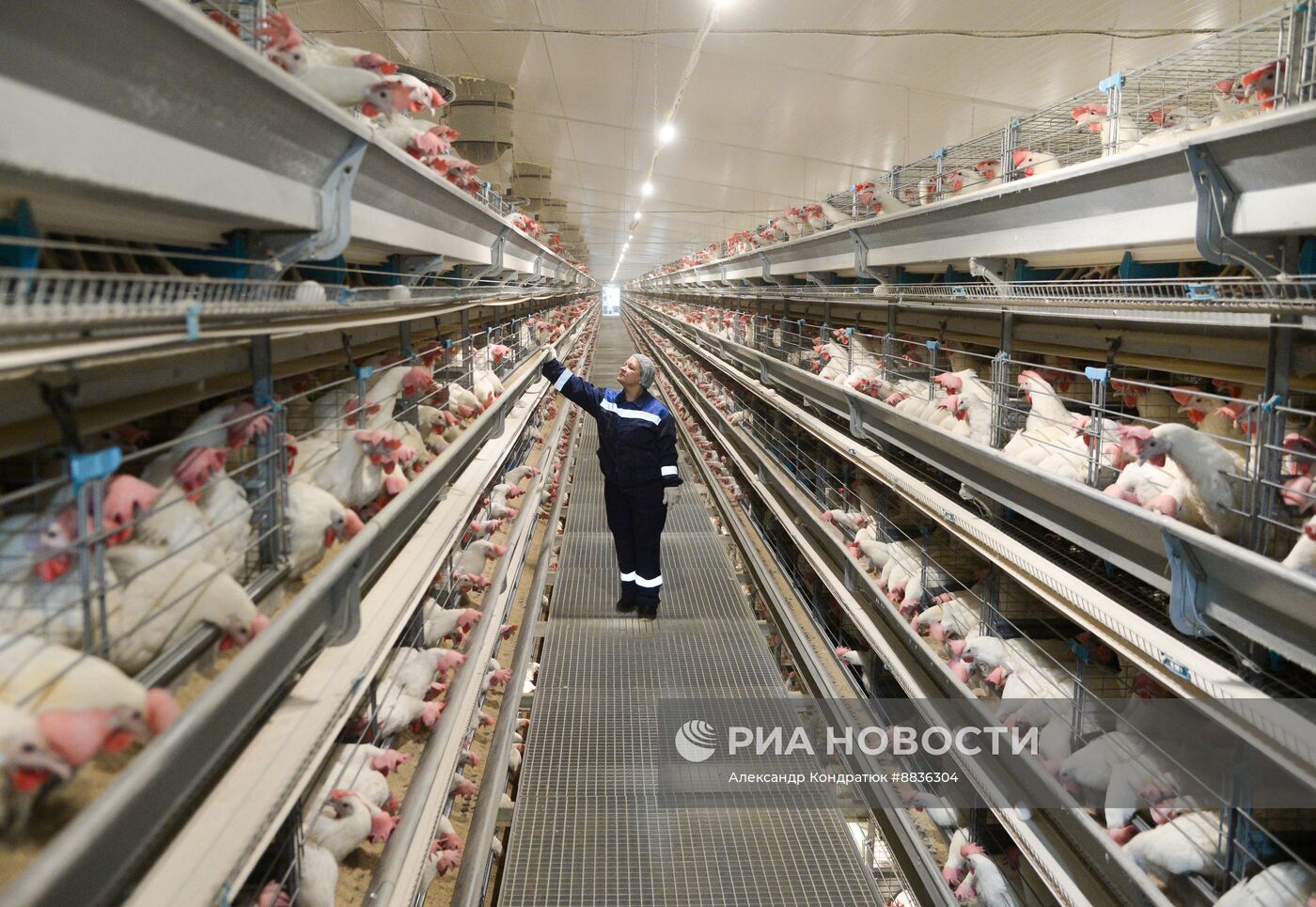Работа предприятия "Птицефабрика Челябинская"
