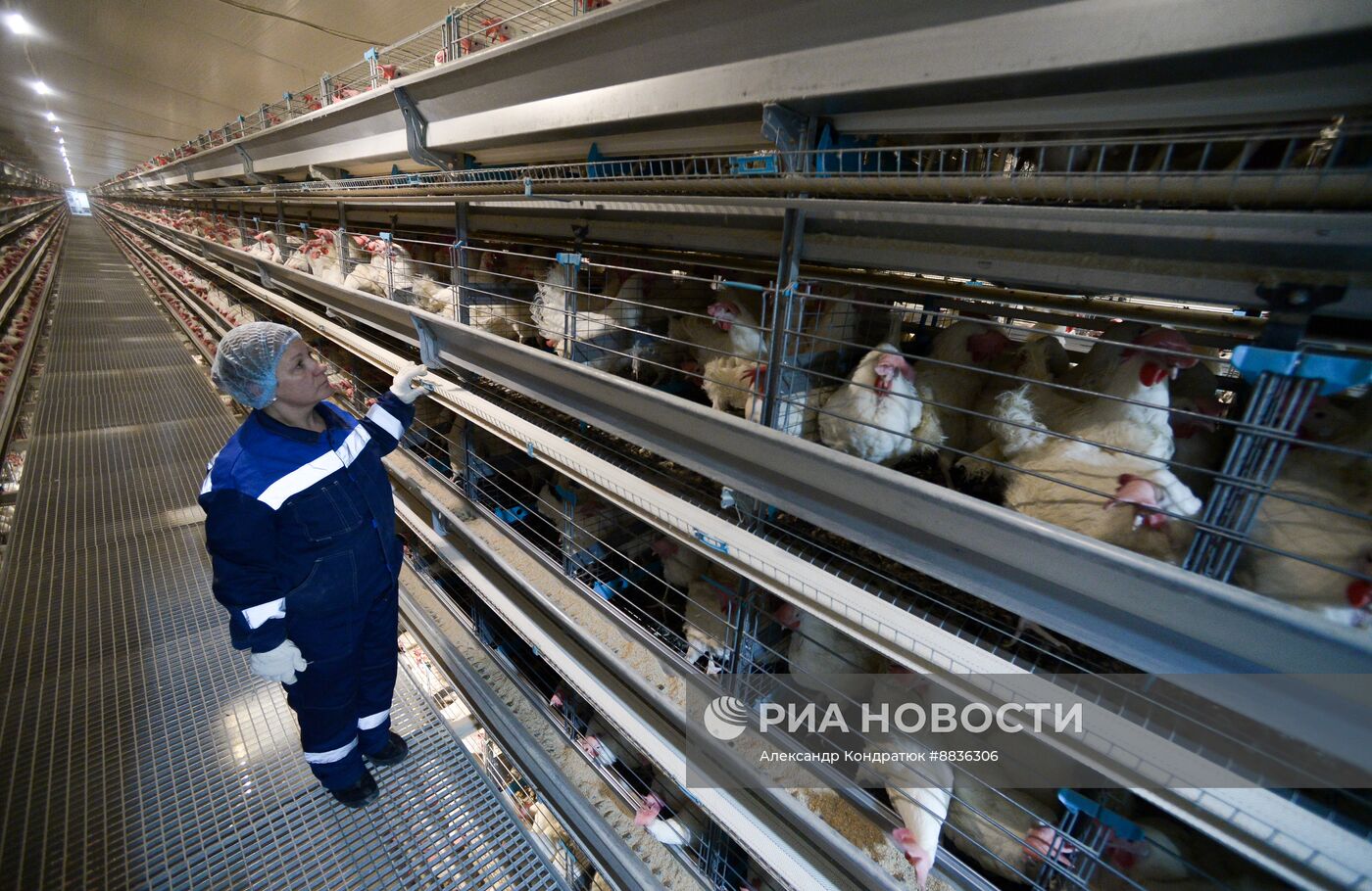 Работа предприятия "Птицефабрика Челябинская"