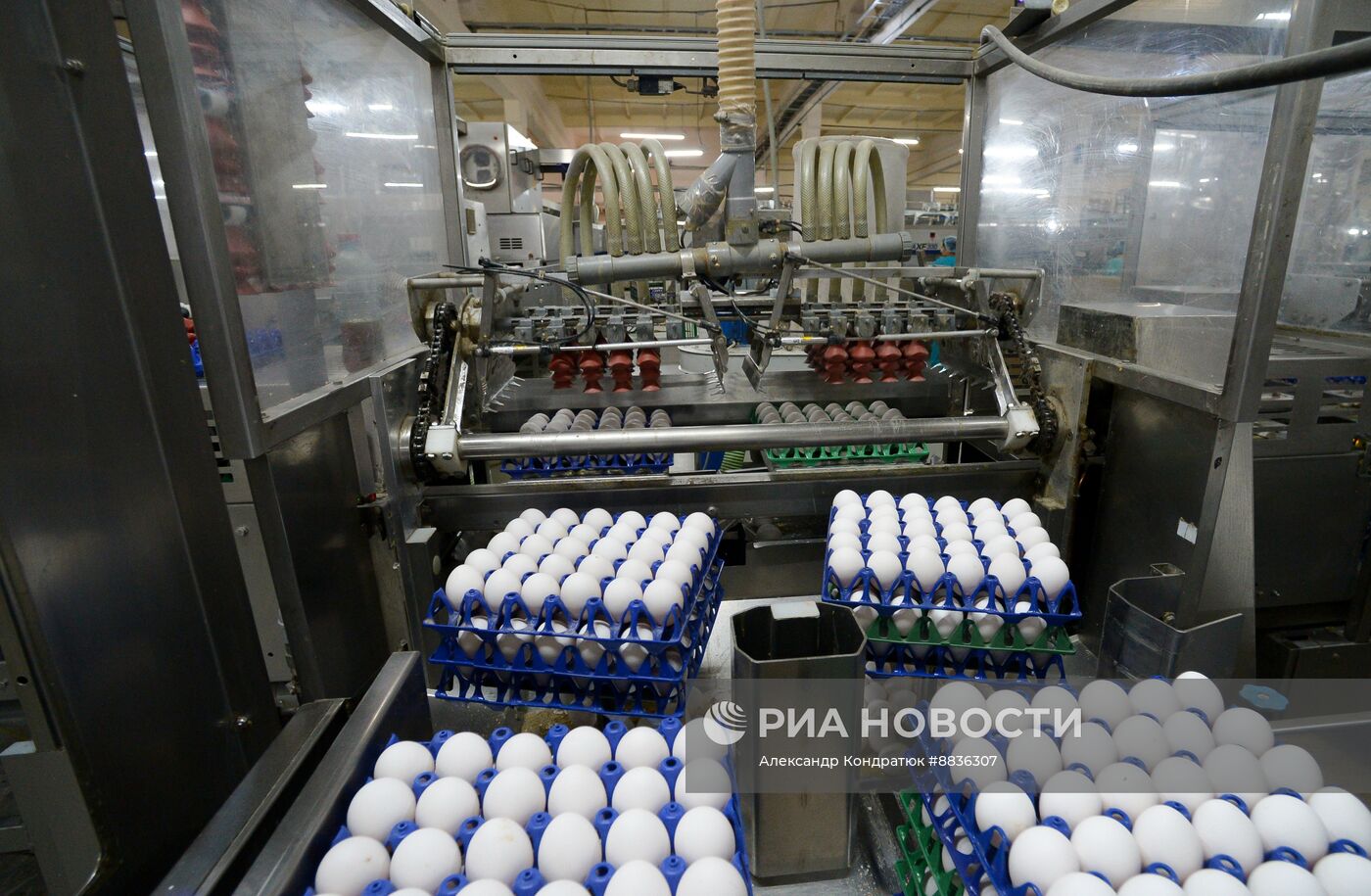 Работа предприятия "Птицефабрика Челябинская"