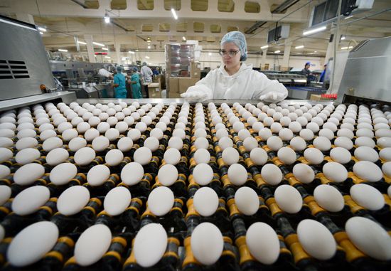 Работа предприятия "Птицефабрика Челябинская"