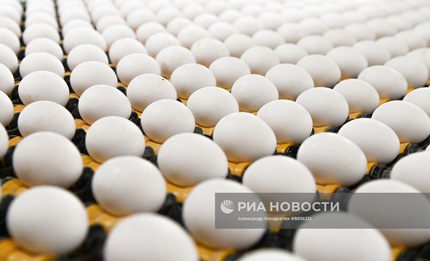 Работа предприятия "Птицефабрика Челябинская"
