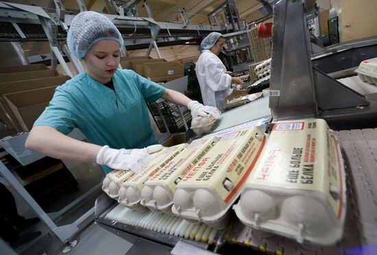 Работа предприятия "Птицефабрика Челябинская"