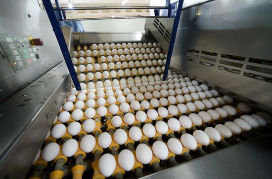 Работа предприятия "Птицефабрика Челябинская"