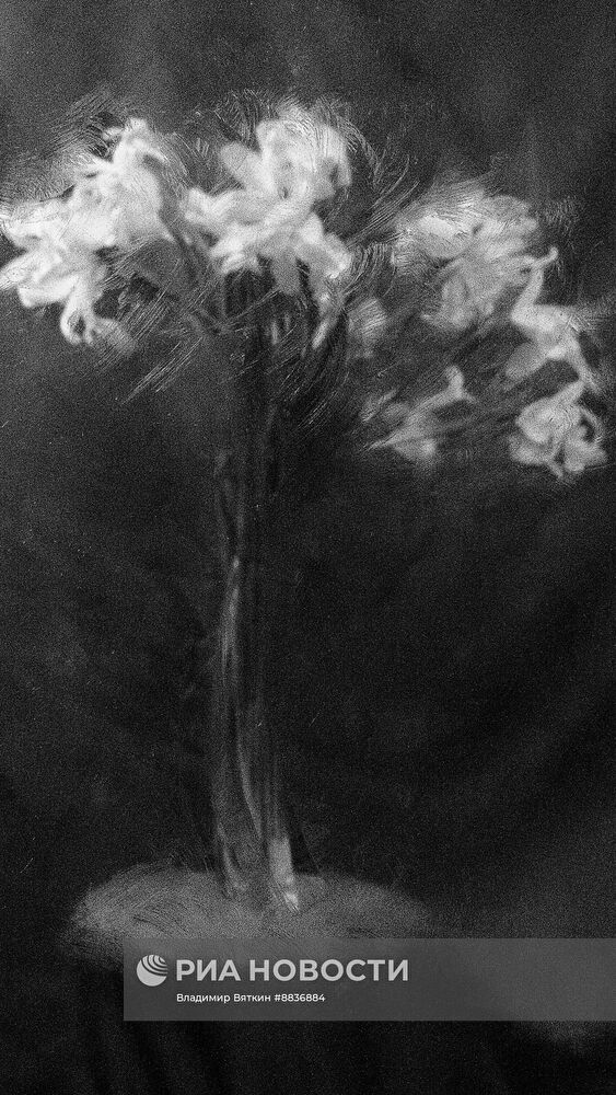 Натюрморт с цветами из авторской серии Владимира Вяткина "Настроение цветов"