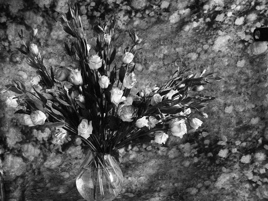 Натюрморт с цветами из авторской серии Владимира Вяткина "Настроение цветов"