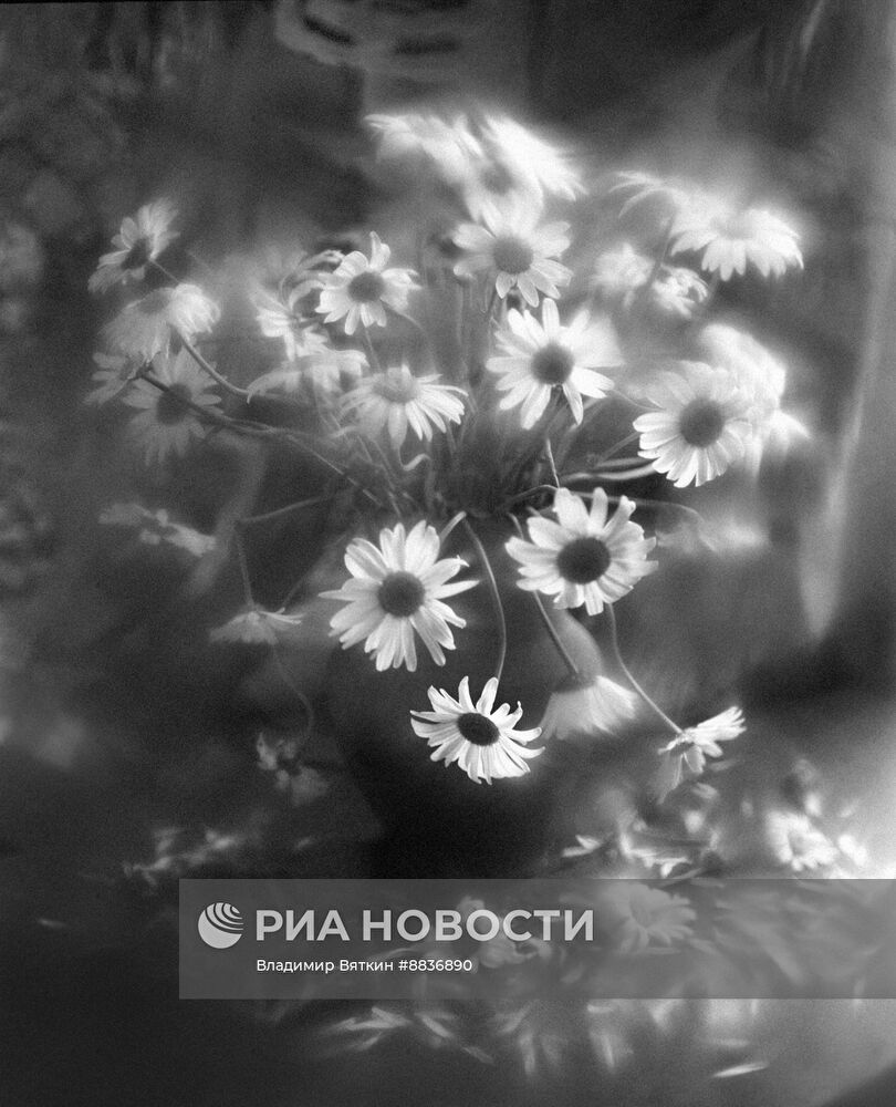 Натюрморт с цветами из авторской серии Владимира Вяткина "Настроение цветов"