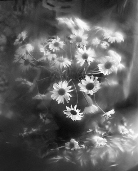 Натюрморт с цветами из авторской серии Владимира Вяткина "Настроение цветов"