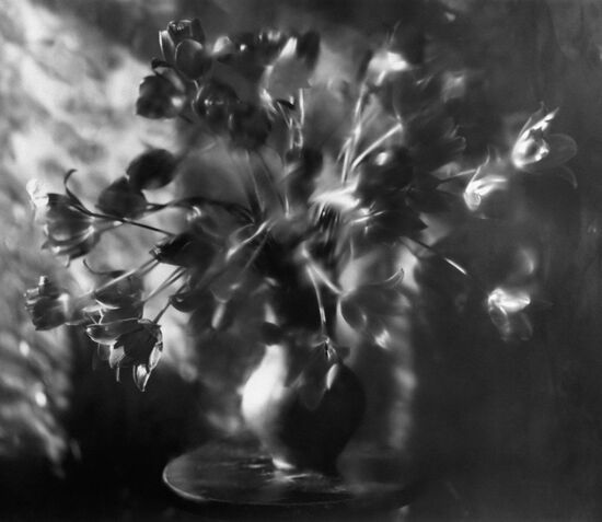 Натюрморт с цветами из авторской серии Владимира Вяткина "Настроение цветов"