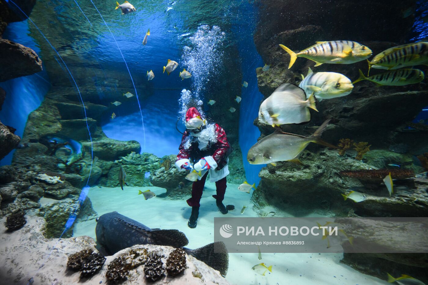 Дайвер в костюме Деда Мороза