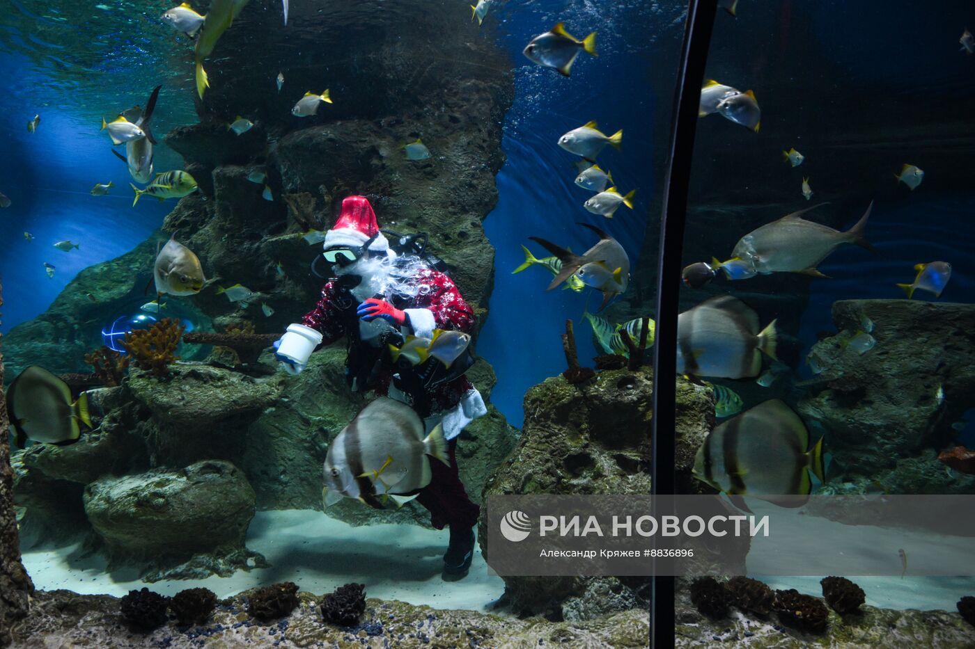 Дайвер в костюме Деда Мороза