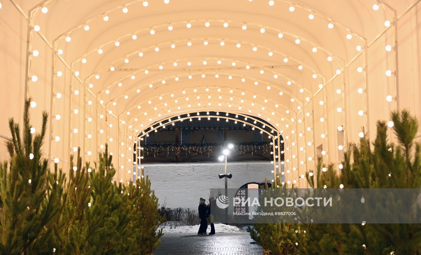 Предновогодняя Казань