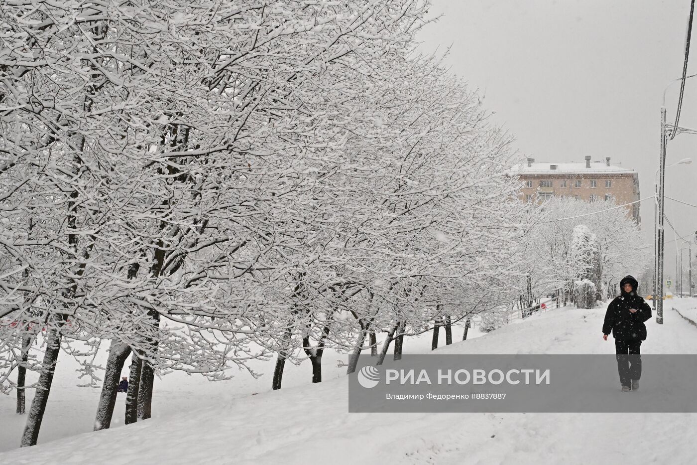 Снег в Москве