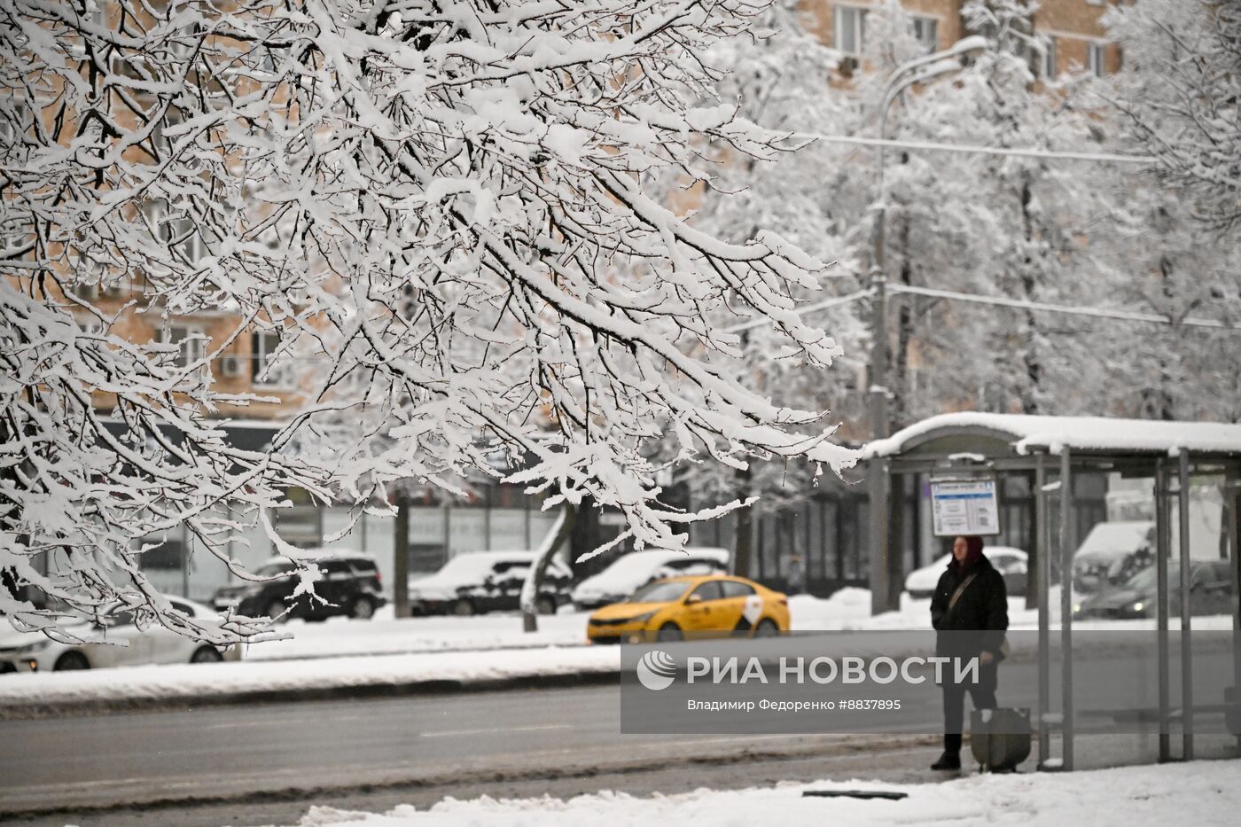 Снег в Москве