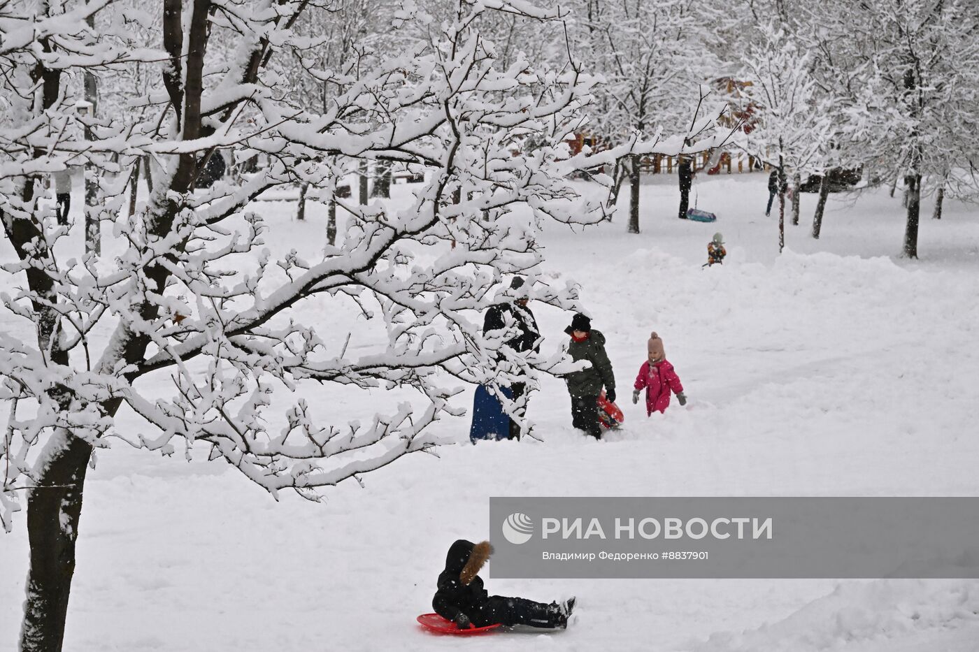 Снег в Москве