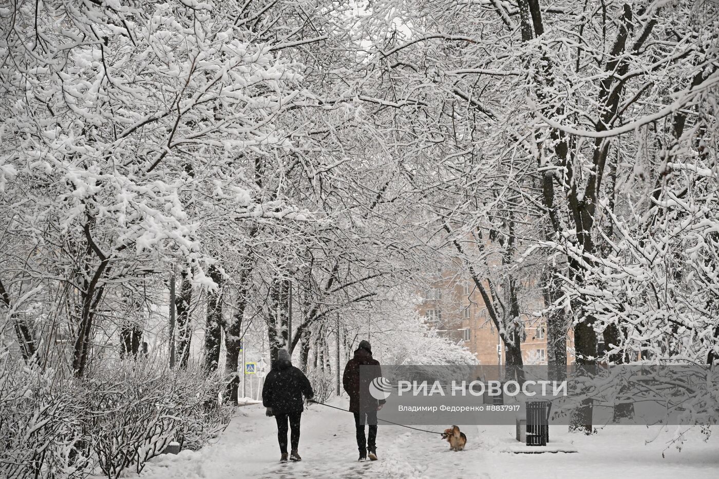 Снег в Москве