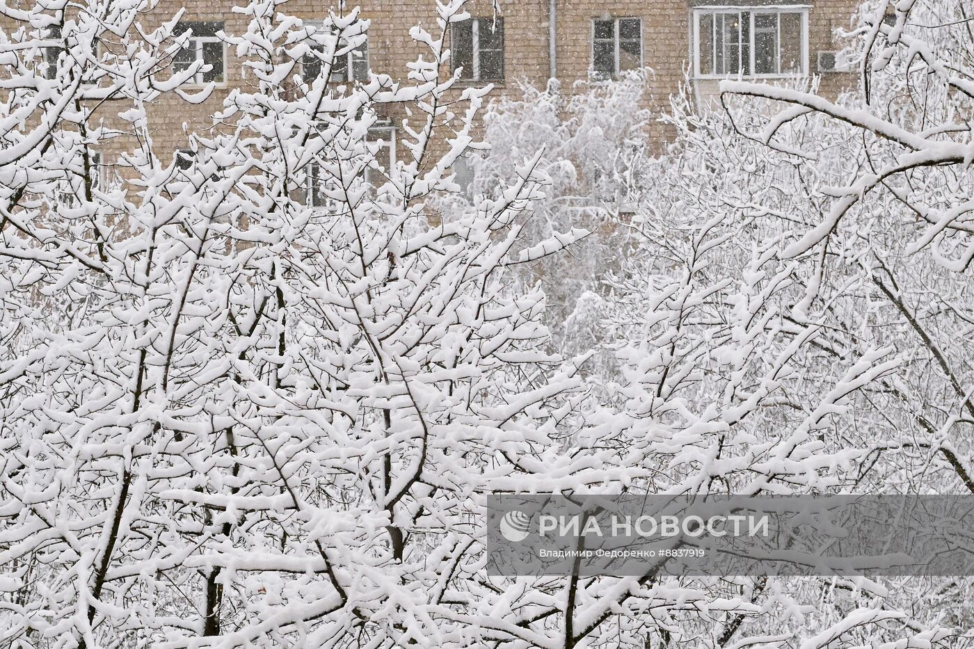Снег в Москве