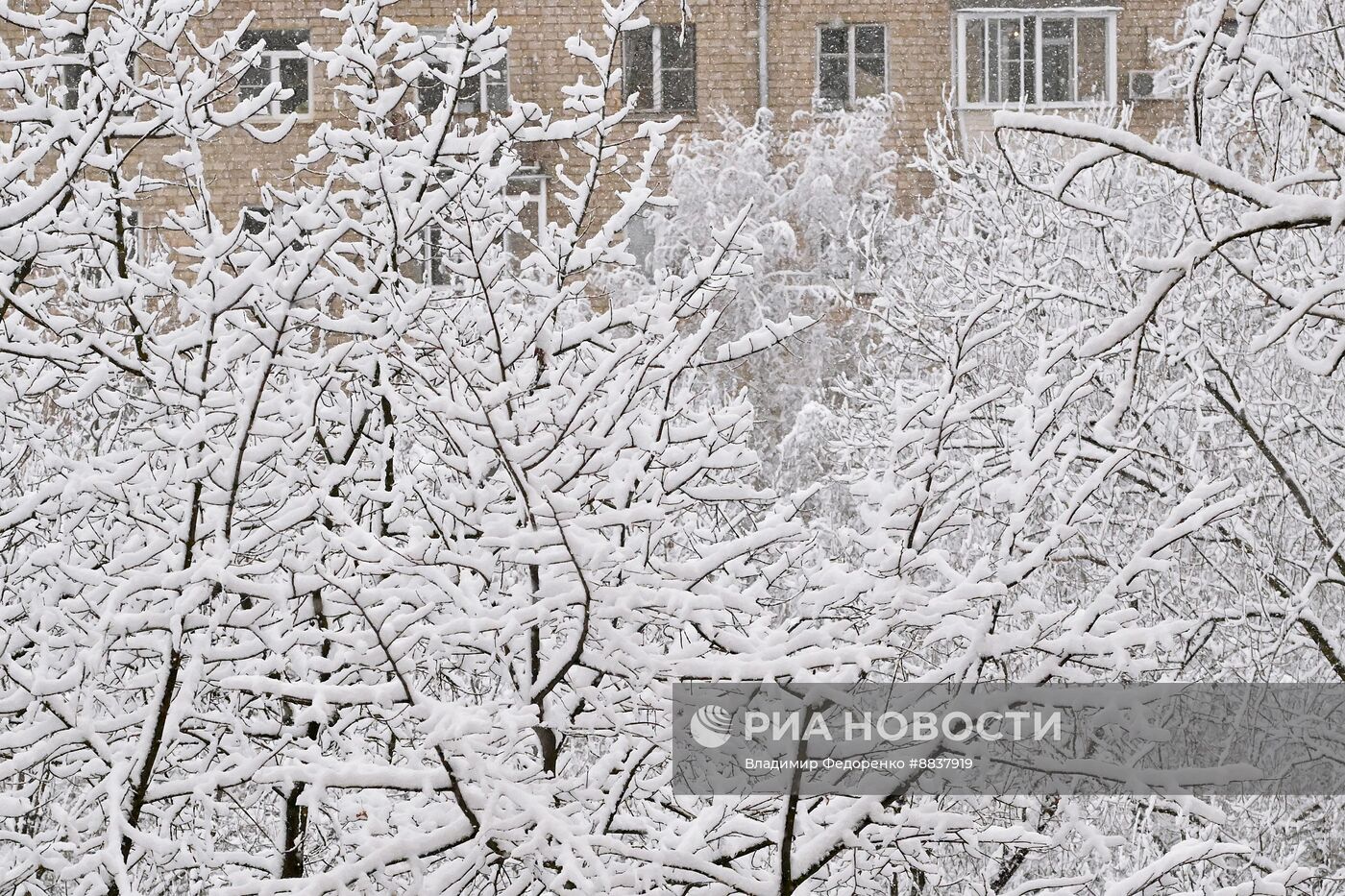 Снег в Москве