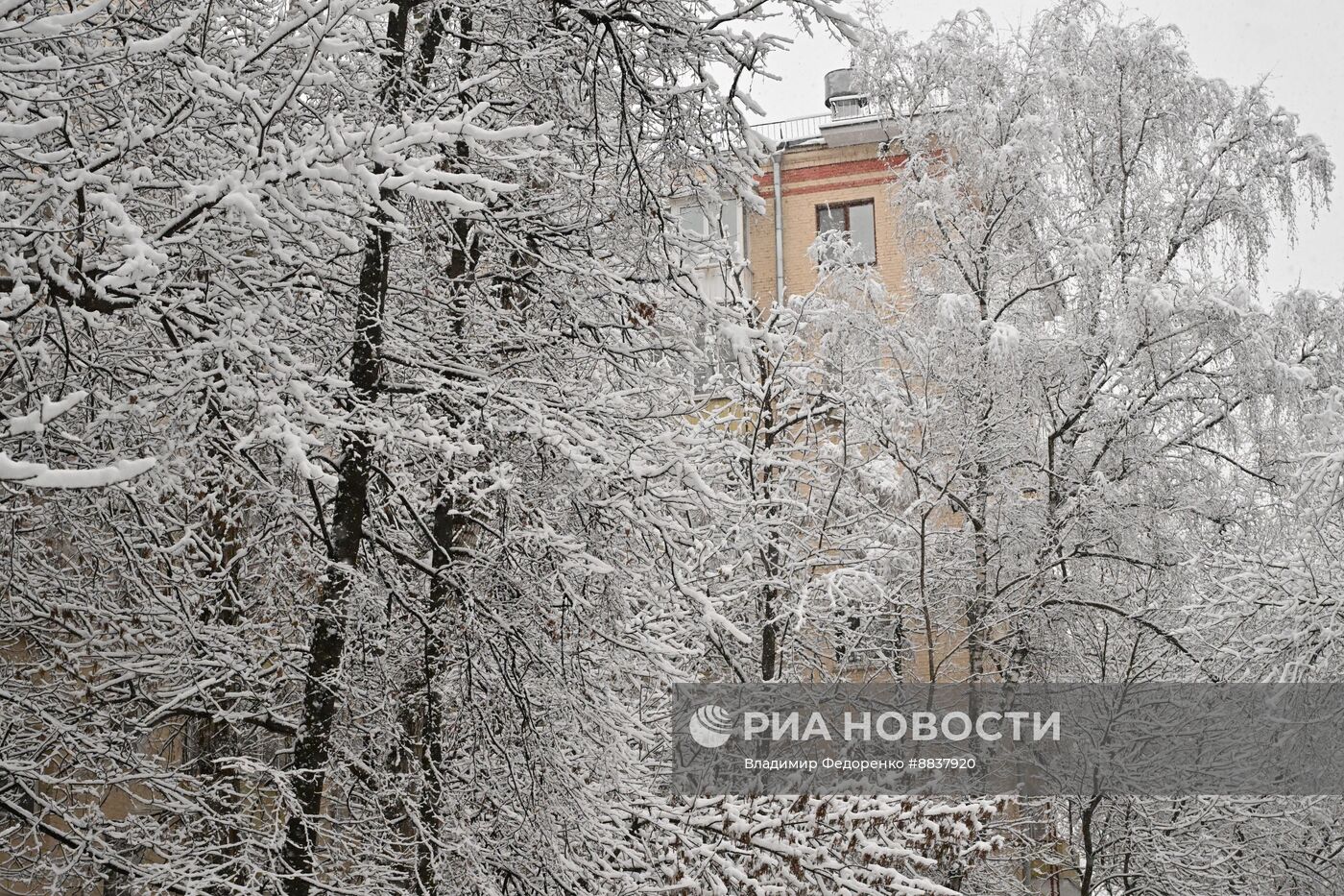 Снег в Москве