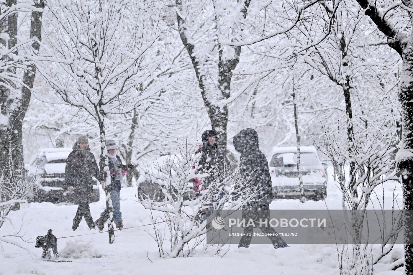 Снег в Москве