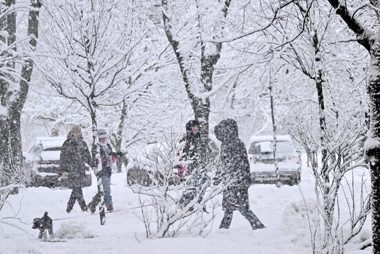 Снег в Москве