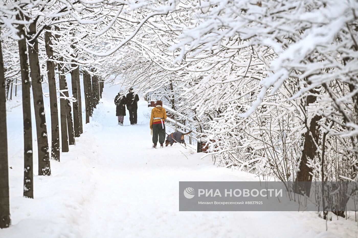 Снег в Москве