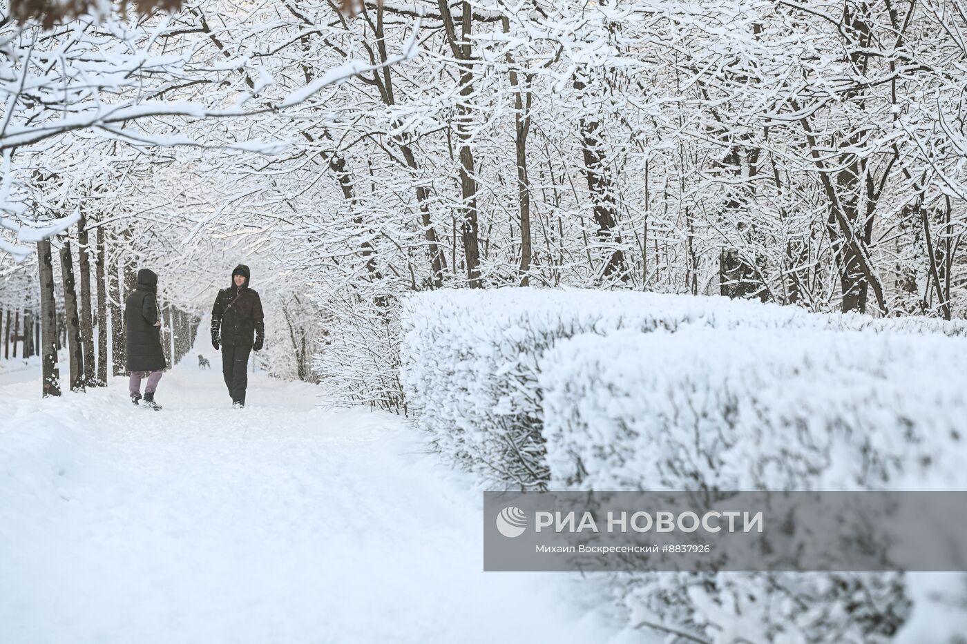 Снег в Москве