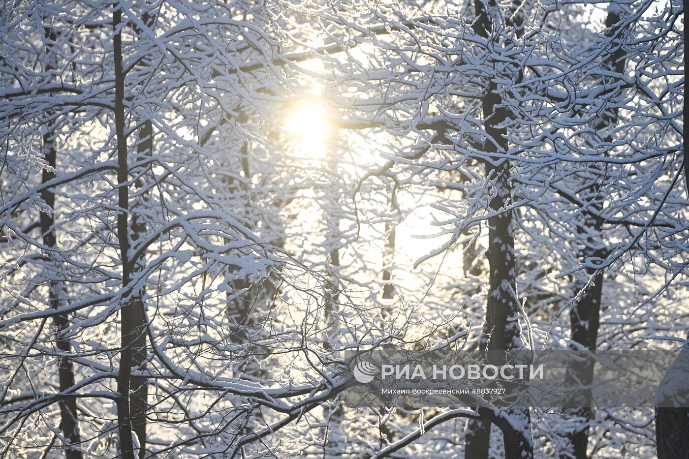 Снег в Москве