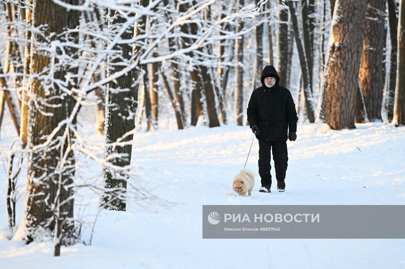 Снег в Москве