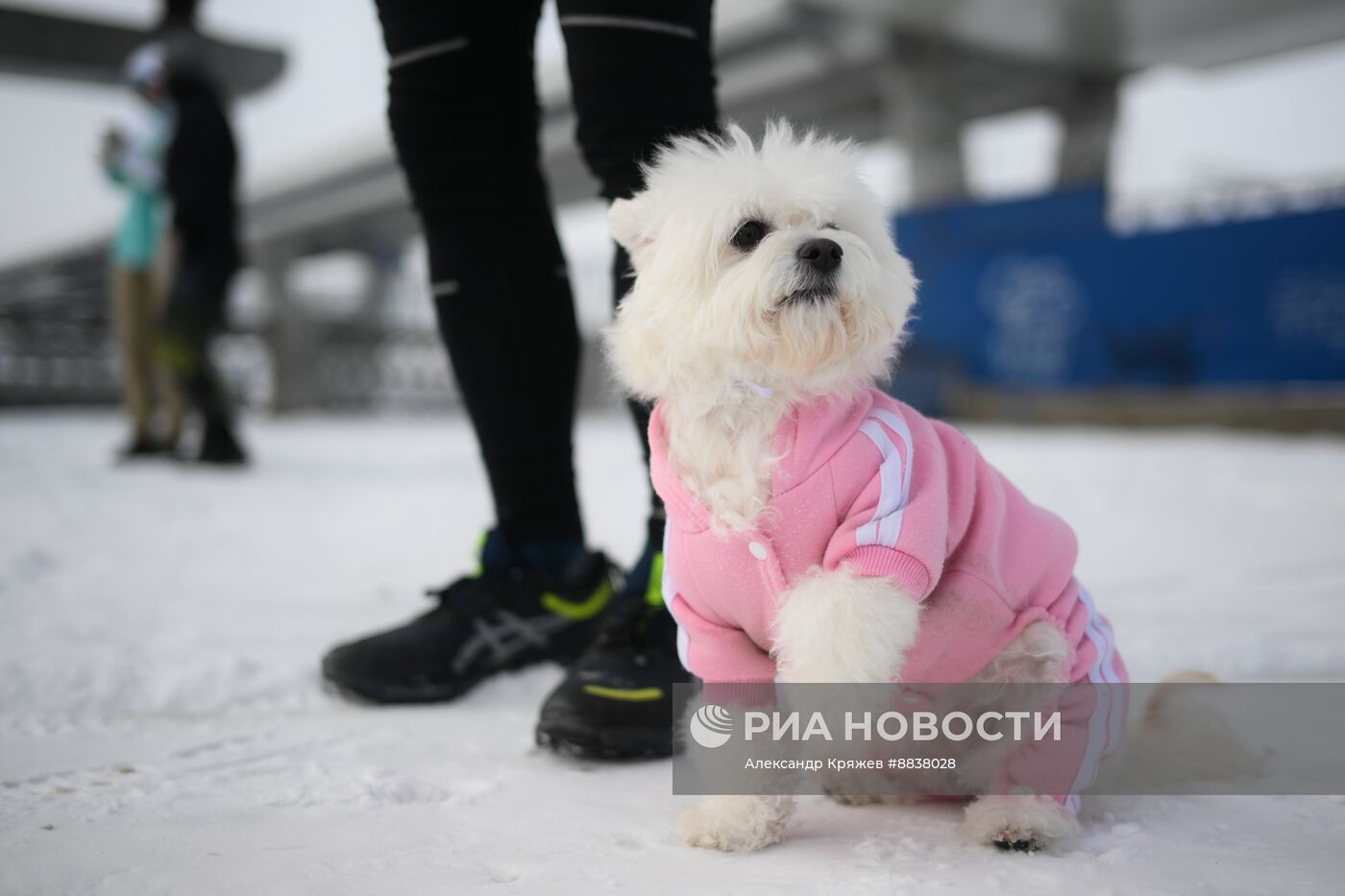 Акция "Забег обещаний" в Новосибирске