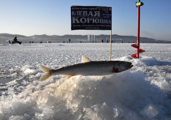 Фестиваль "Клевая корюшка" во Владивостоке