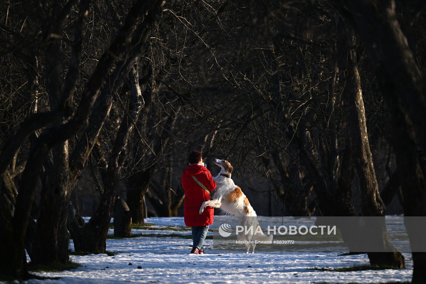 Теплая погода в Москве