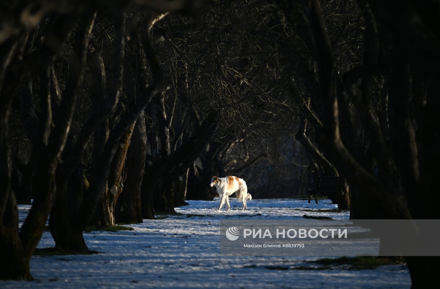 Теплая погода в Москве