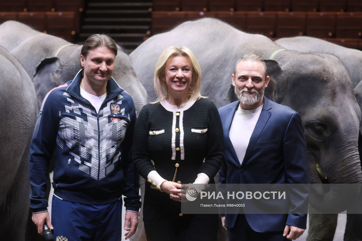 Шесть слонят из Мьянмы привезли в Большой Московский цирк