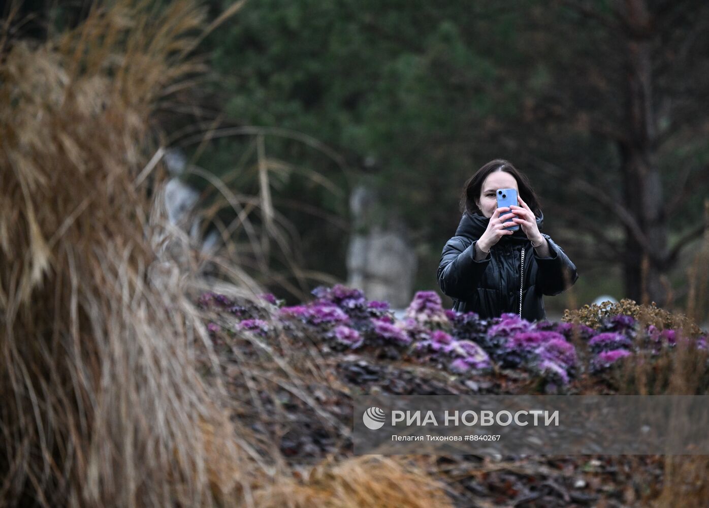 Повседневная жизнь