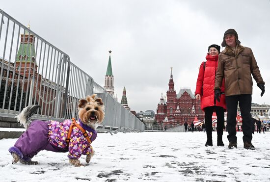 Снег в Москве