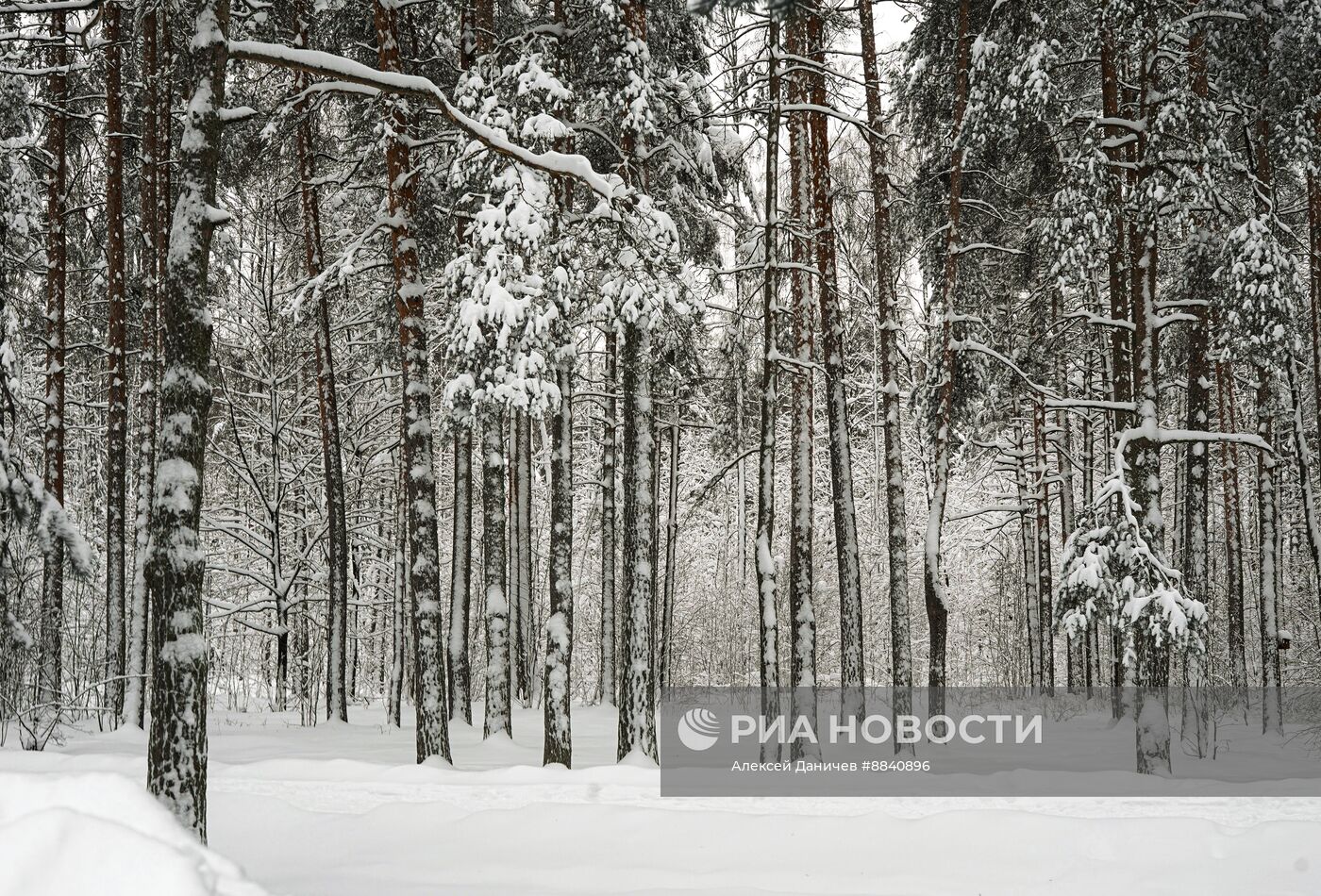 Повседневная жизнь