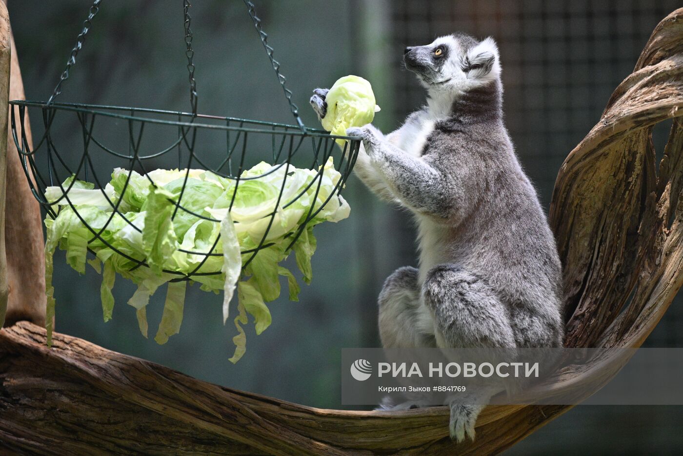 Новые животные в Московском зоопарке