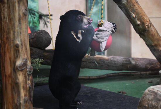 Новые животные в Московском зоопарке