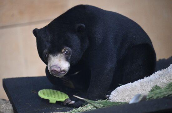 Новые животные в Московском зоопарке
