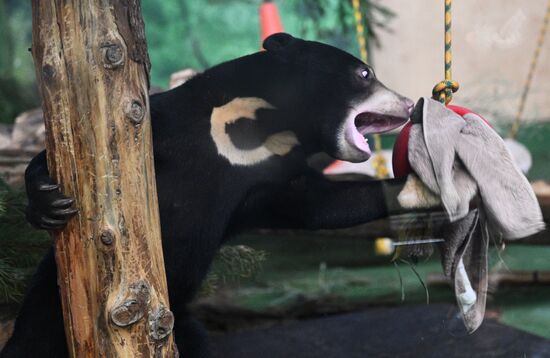 Новые животные в Московском зоопарке