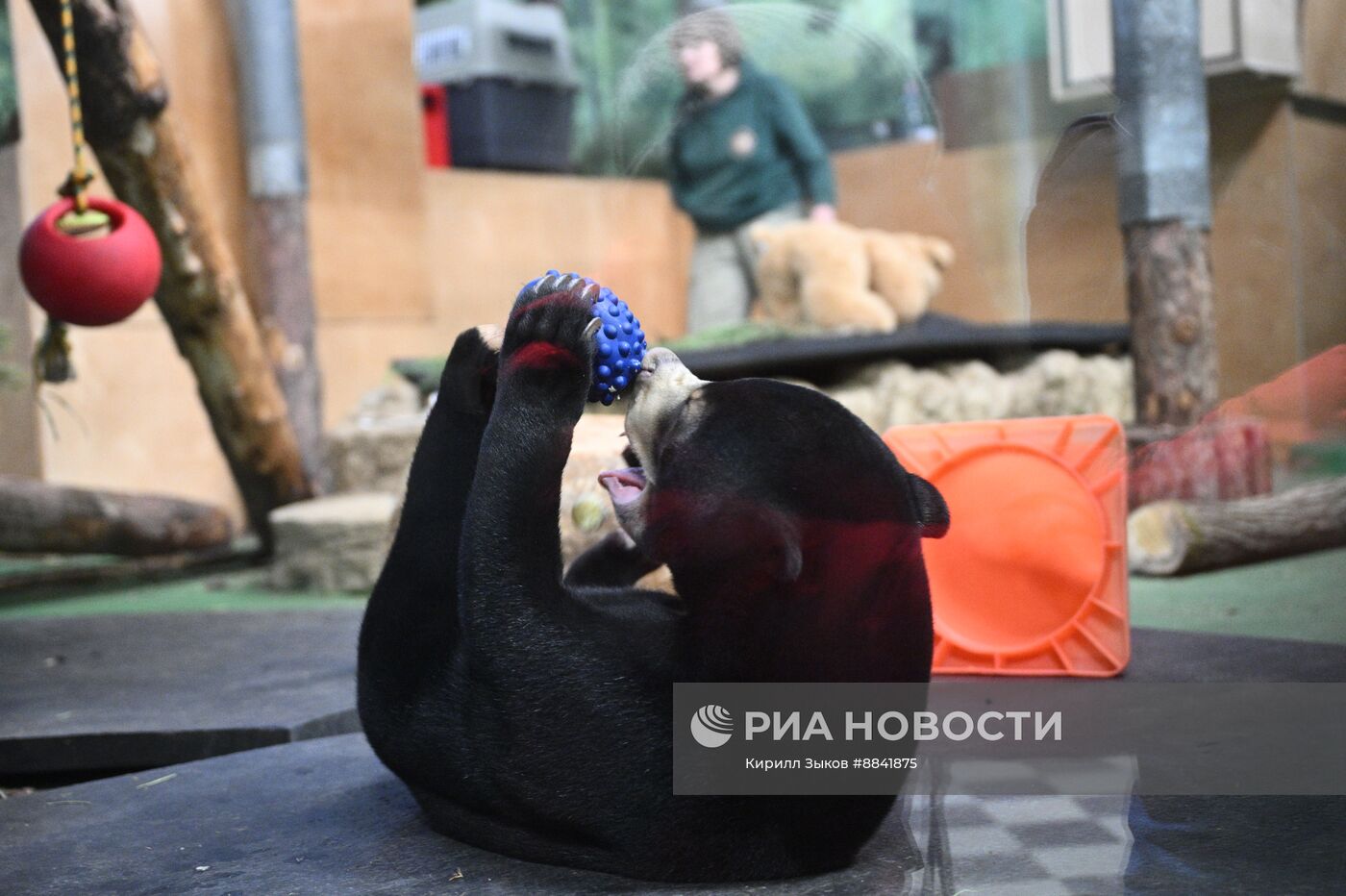 Новые животные в Московском зоопарке