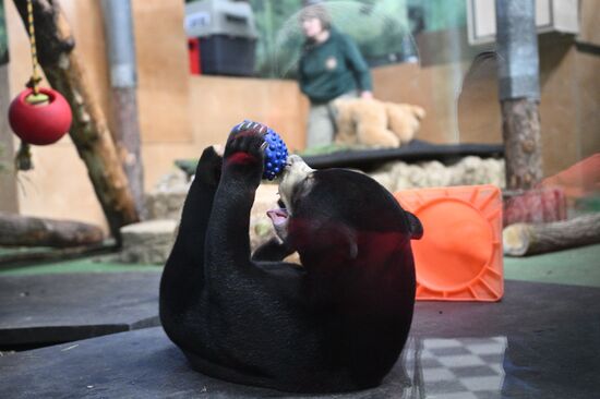 Новые животные в Московском зоопарке