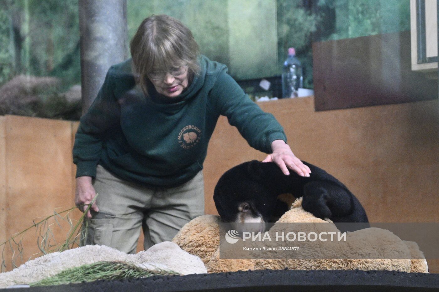 Новые животные в Московском зоопарке