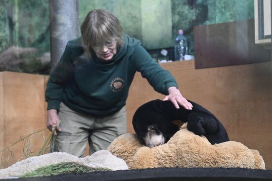 Новые животные в Московском зоопарке